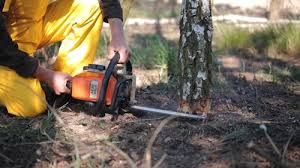 Best Weed Control  in Snellville, GA