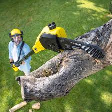 Best Hazardous Tree Removal  in Snellville, GA