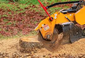 Best Tree Preservation Services  in Snellville, GA